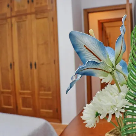 Apartmento Canarias Apartman