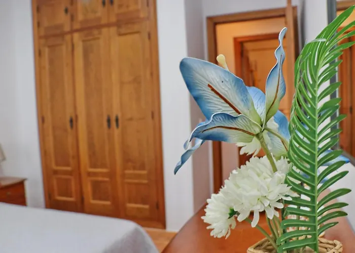 Apartmento Canarias Apartment